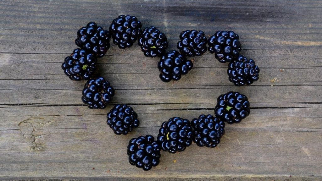 Blackberries on a picnic table in the shape of a heart.