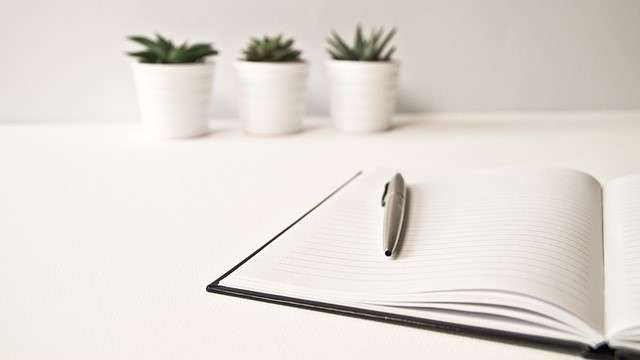 Pen sitting on blank open notepad with cacti in the background.