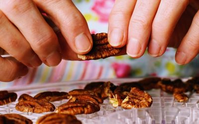 Leading Pecan Companies Announce Collaboration To Elevate The Pecan As A Premium, Healthy Snack