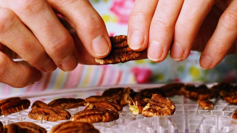 Closeup of person holding pecans.