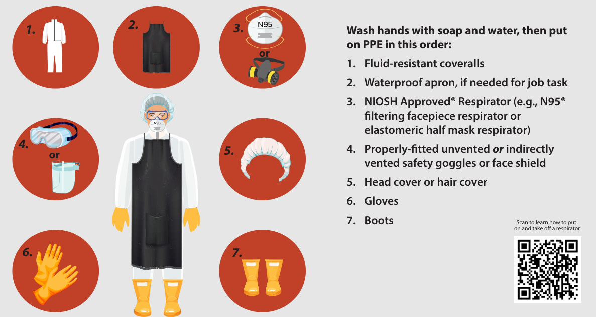 Graphic from CDC outlining seven steps on how to properly put on PPE.