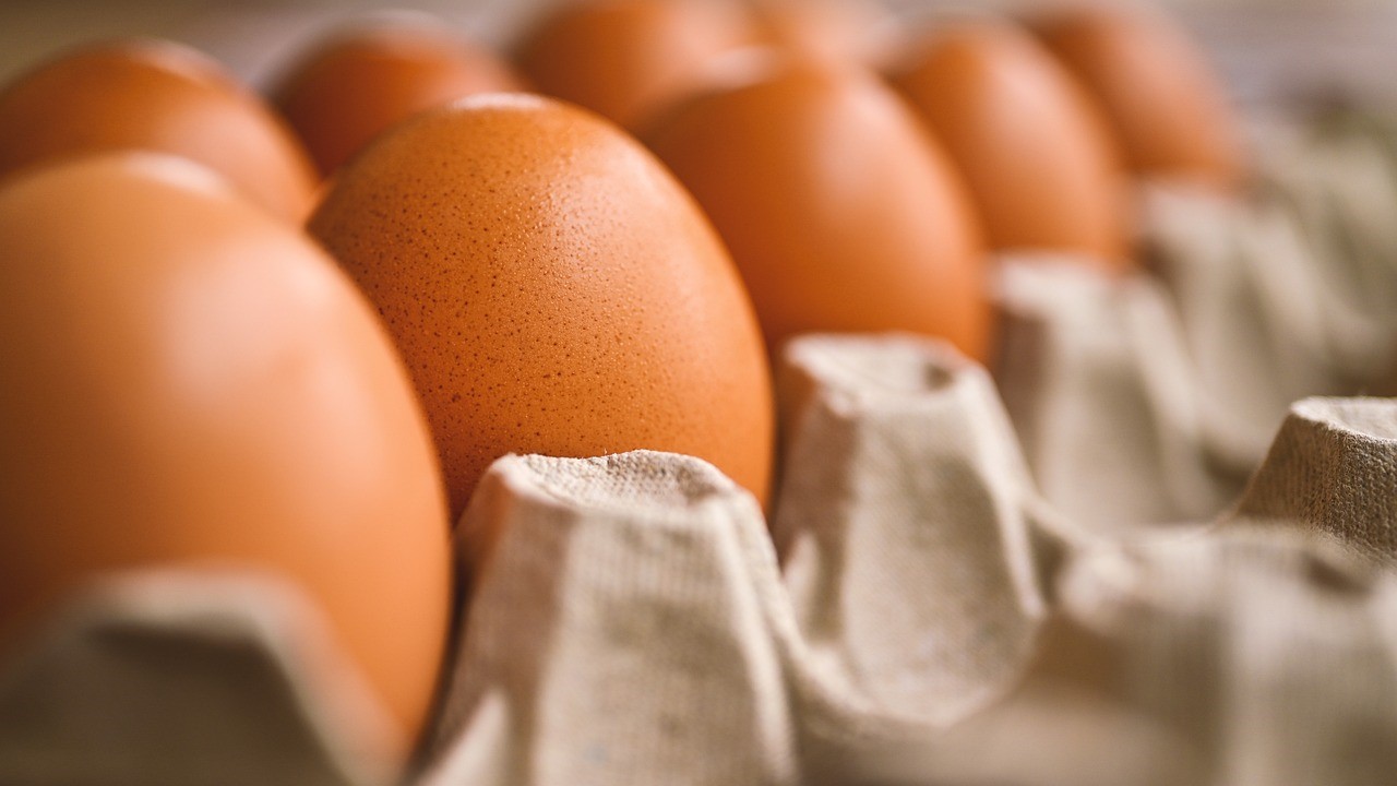 Close-up of brown eggs in a carton.