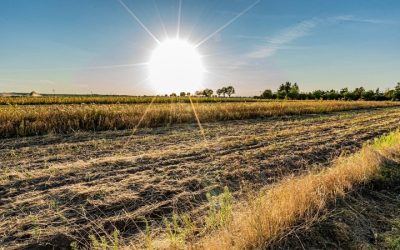 Heat Illness SOS: Agricultural Safety Center, UF/IFAS Release Safety Toolkit