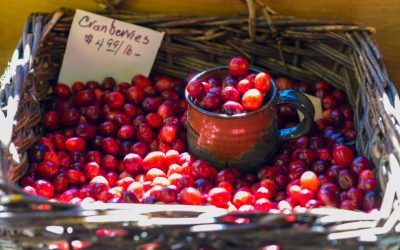 Cranberries: A Tart And Tasty Antioxidant To Boost Your Immune System