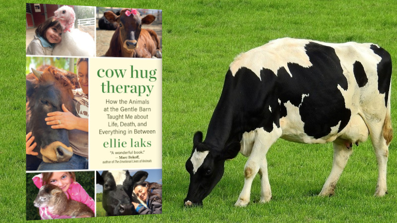 Book Review: Cow Hug Therapy – How the Animals at the Gentle Barn Taught Me About Life, Death, and Everything in Between