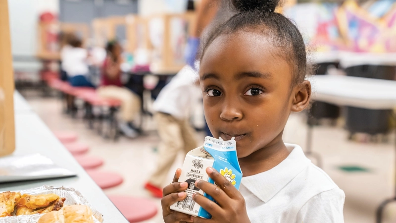 Elementary student drinking from a carton of milk in school cafeteria.