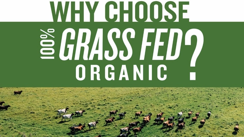 'Why choose 100% grass fed organic' poster