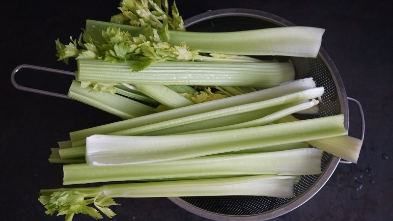 Celery rinsing in a strainer.