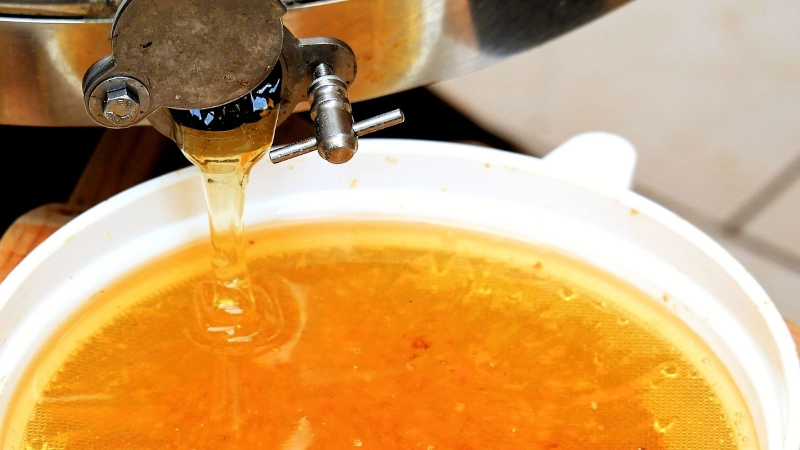 Honey coming out of an extractor. 