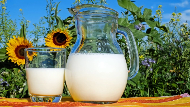 Pitcher and glass of milk.