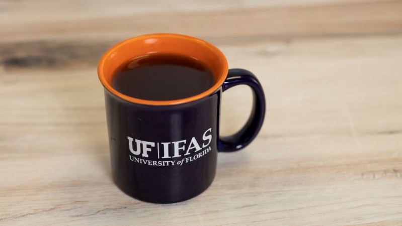 A cup of coffee. Credit: UF/IFAS