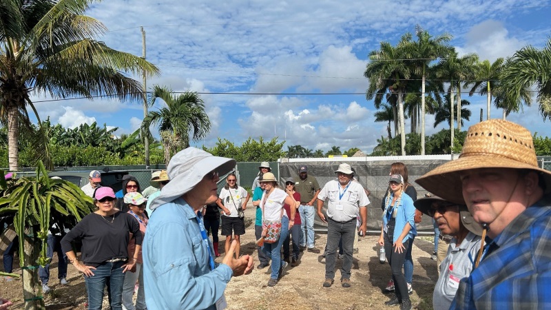 UF/IFAS researchers with participants of a recent dragon fruit workshop held at UF/IFAS TREC at one of the plots.