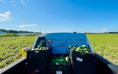 Society Of St. Andrew’s Extraordinary Impact: One Billion Pounds Of Food Rescued And Shared With Those In Need