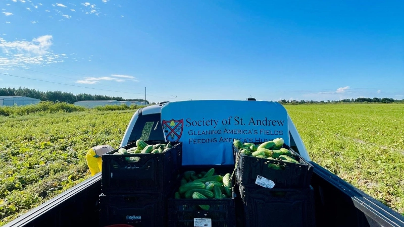 Society of St. Andrew pickup truck in a field full of fresh picked produce.