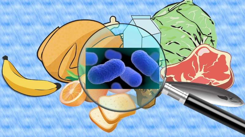 Graphic of assoreted fooda with listeria bacteria under a magnifying glass.