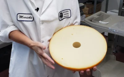 Could Full-Fat Dairy Support Brain Health? New Study Suggests Lower Dementia Risk