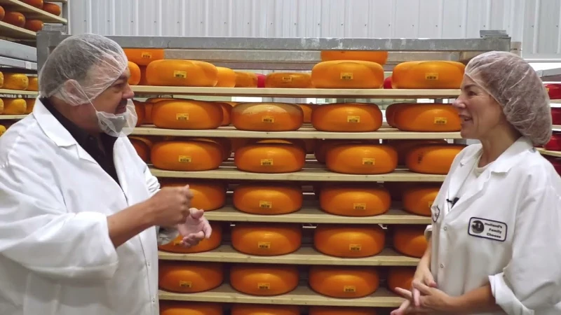 Chip and Marieke in the Gouda cheese room.