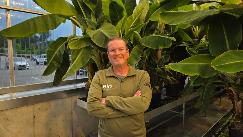 Todd Rands standing in front of banana plant in greenhouse.