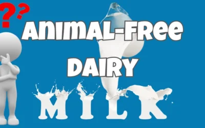 Animal-free Dairy Milk – An Oxymoron?