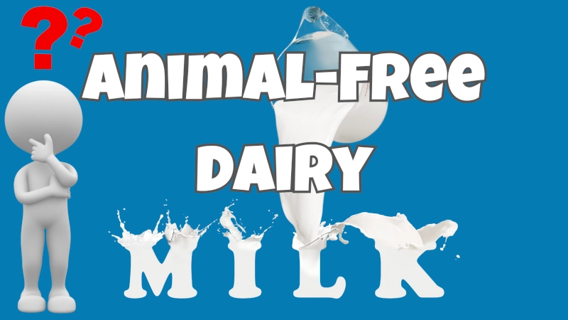 Animal-free Dairy Milk – An Oxymoron?