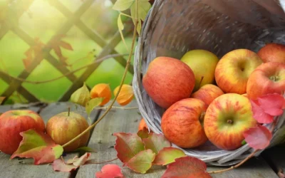 Autumn’s Harvest: 10 Fall Produce Favorites And Creative Ways To Enjoy Them!