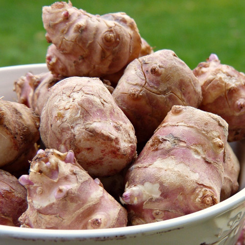 Sunchokes (Jerusalem artichokes)