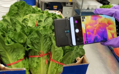 Revolutionizing Freshness: How Thermal Imaging Can Extend The Shelf Life Of Fruits And Vegetables