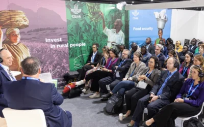 COP29 Event Takes Stock Of Global Progress On Climate-Smart Solutions For Smallholders