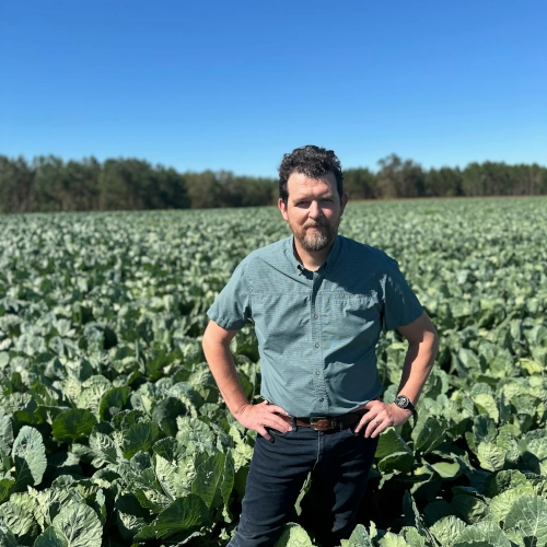 John Williams, Director of Sales and Marketing, Herndon Farms in a field. 