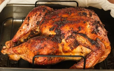 Thanksgiving Turkey 101: Your Ultimate Guide To A Stress-Free Turkey Feast