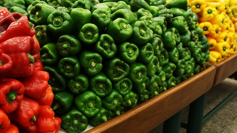 Assorted bell peppers in the grocery. 