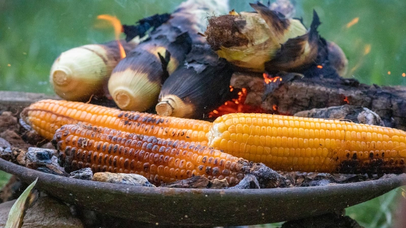 Corn grilling. 