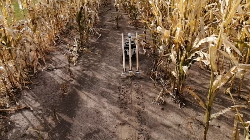 An agricultural robot pulls hoes across the soil between rows of corn. Credit: UI College of ACES.