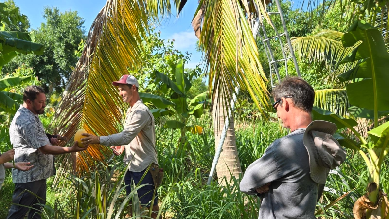 Matthew Reece handing a fresh coconut to a guest.