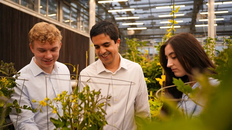 Scientists examining plants.