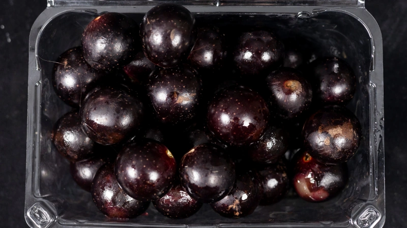 Purple grapes in a clamshell container.