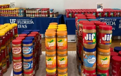 Spreading Joy And Nutty Generosity: UF/IFAS Peanut Butter Challenge Shatters Record With Over 39,000 Pounds Collected