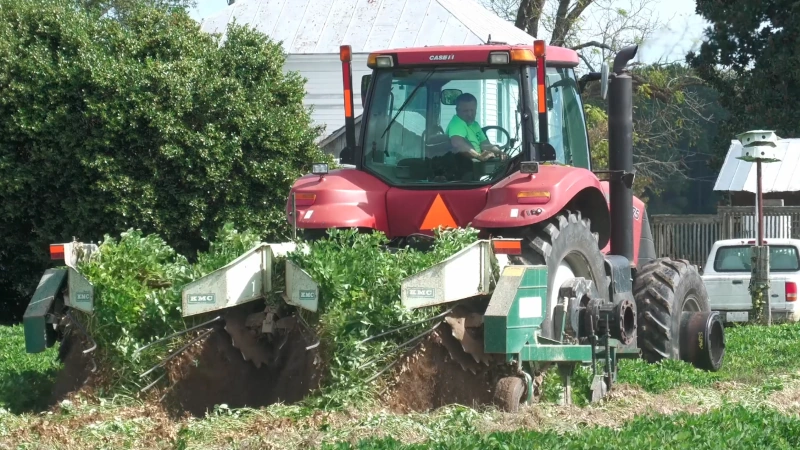 Peanut excavator