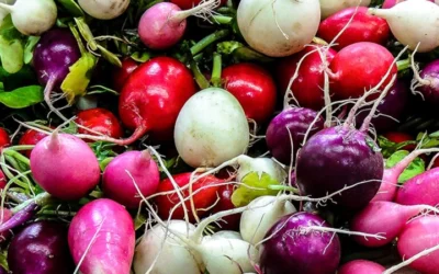 Vibrant Winter Vegetables: A Rainbow Of Nutrient-Packed Flavors