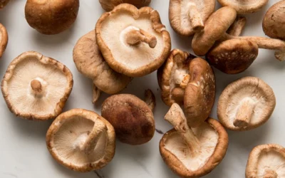 Are Mushrooms Good For You? Short Answer: YES!