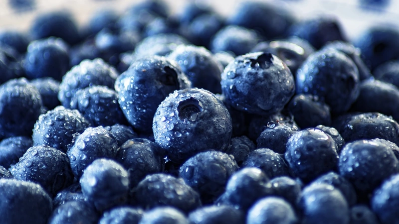 Macro image of a blueberry