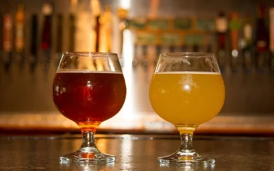 UF Taps Into Flourishing Florida Craft Beer Market