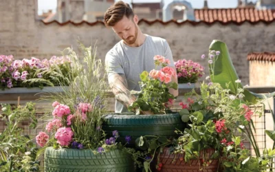 Growing Produce For Beginners: 7 Garden Basics