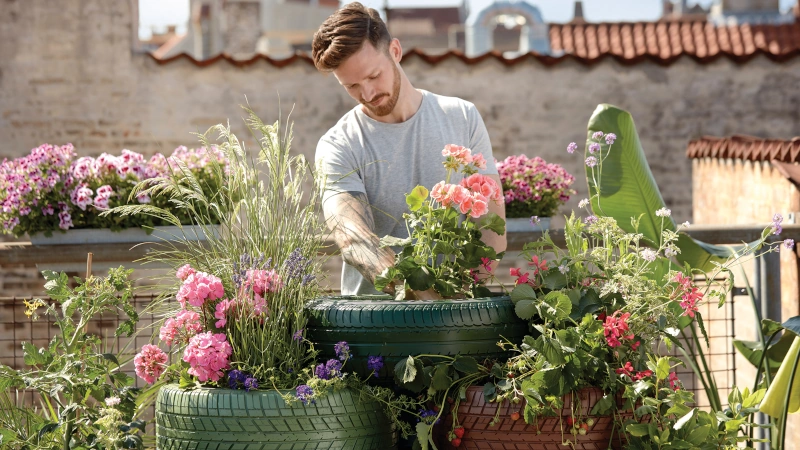 Man planting in a garden.