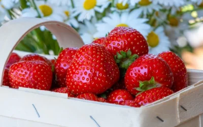 Can Strawberries Slow Down Aging? Exploring Their Impact on Brain, Heart, And Gut Health