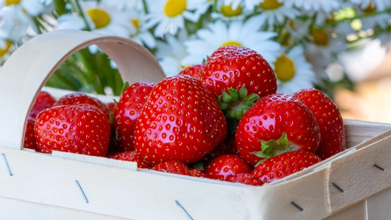 Strawberries in a basket