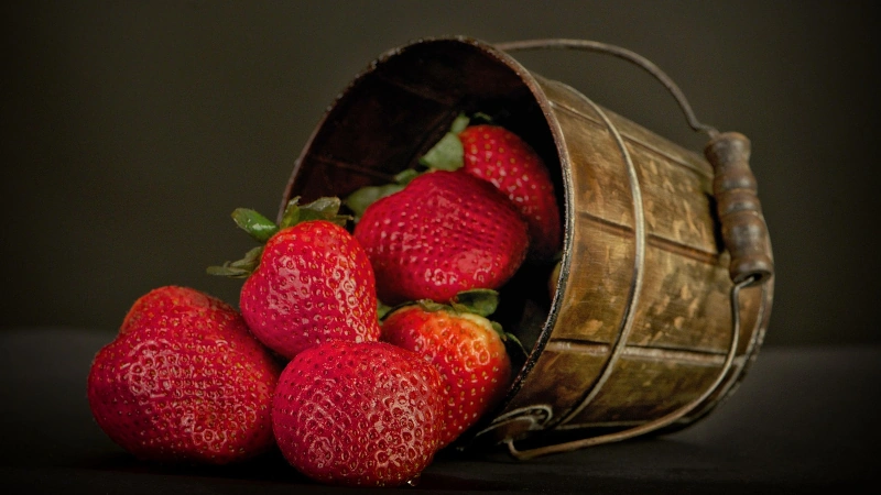 Strawberries in a tipped over bucket. 