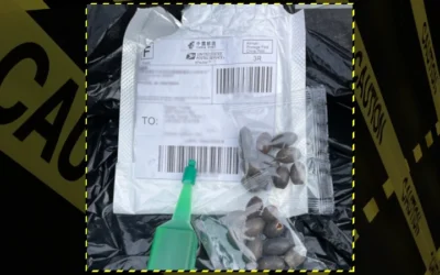 And Yet More Mystery Seeds From China Popping Up In U.S. Packages