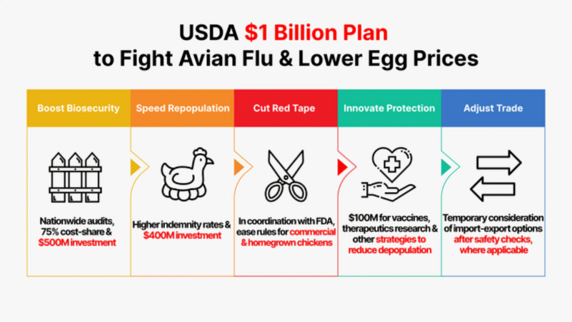 Chart indicating USDA $1 Billion plan to fight avian flu and lower egg prices. 