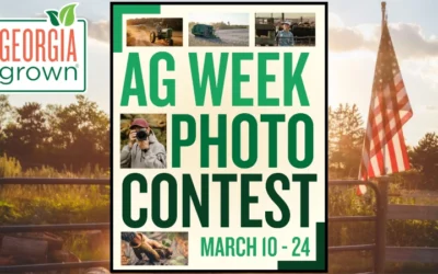 Capture The Heart Of Georgia Ag: Submissions Now Open For Annual Ag Week Photo Contest